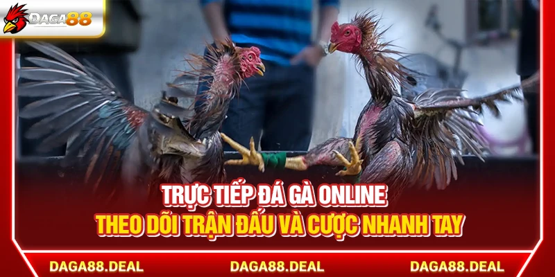 Trực Tiếp Đá Gà Online - Theo Dõi Trận Đấu Cược Nhanh Tay
