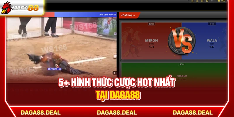 DAGA88 - Link Đá Gà 88 Trực Tiếp Chính Thức Mới Nhất Hôm Nay 10 5+ hình thức cược hot nhất tại Daga88