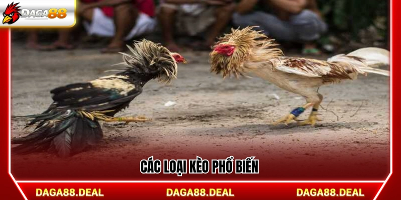 Các hình thức kèo phổ biến hiện nay