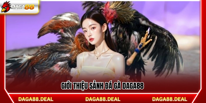 Thông tin về sảnh đá gà Daga88