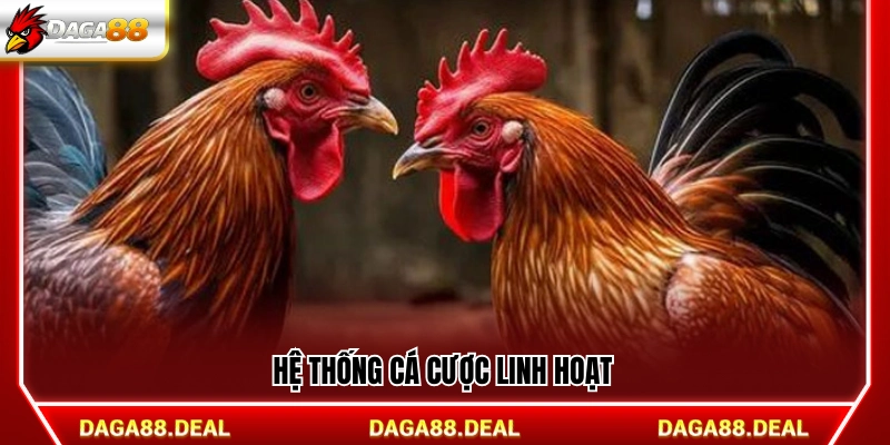 Cơ chế đặt cược đa dạng và linh động