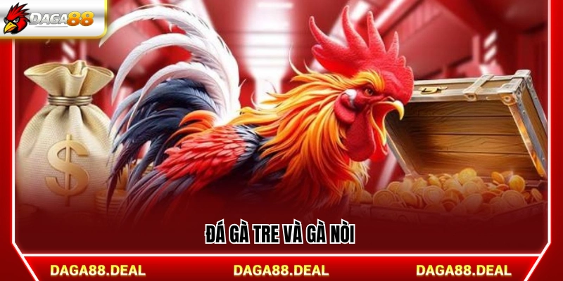 Loại hình đá gà tre và gà nòi