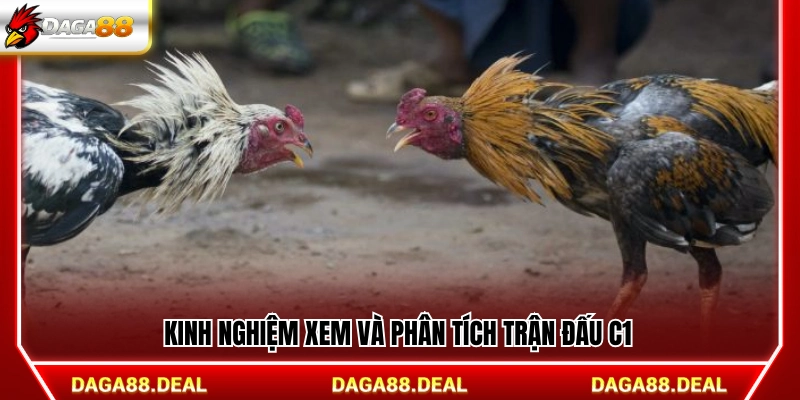 Kinh nghiệm theo dõi và nhận định trận đấu 