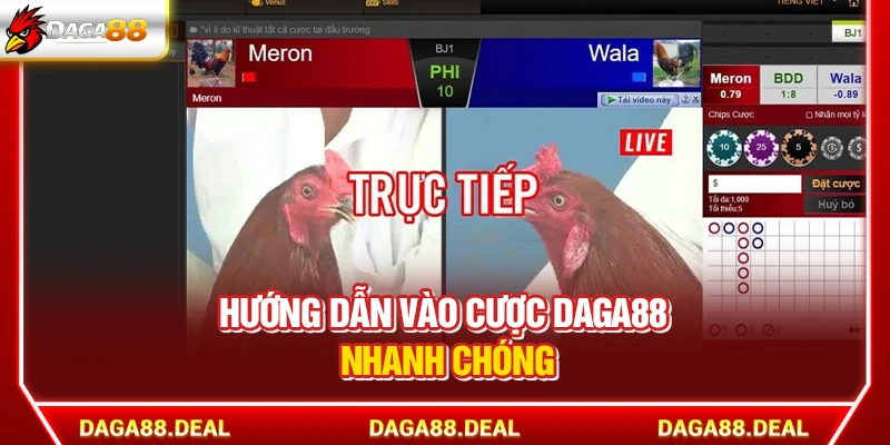 DAGA88 - Link Đá Gà 88 Trực Tiếp Chính Thức Mới Nhất Hôm Nay 12 Hướng dẫn vào cược Daga88 nhanh chóng