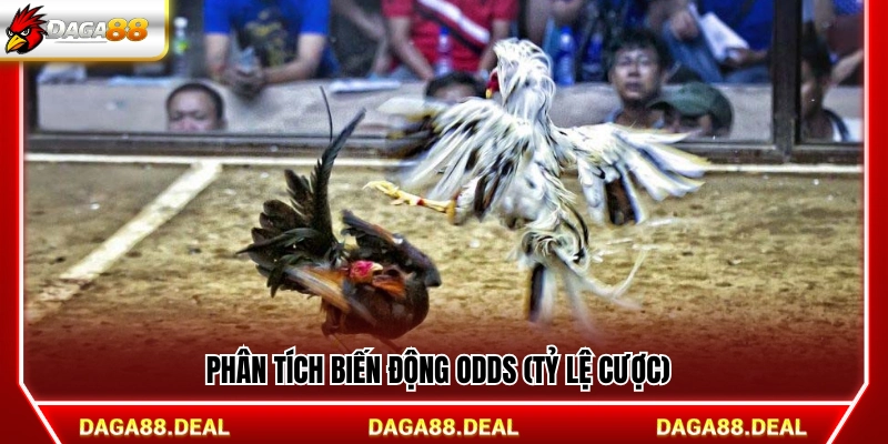 Đánh giá sự thay đổi của Odds trong quá trình cược