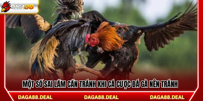 Những lỗi thường gặp nên tránh khi dùng kinh nghiệm cá cược đá gà