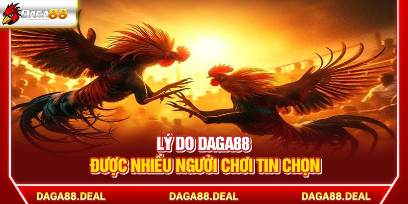 DAGA88 - Link Đá Gà 88 Trực Tiếp Chính Thức Mới Nhất Hôm Nay 9 Lý do Daga88 được nhiều người chơi tin chọn