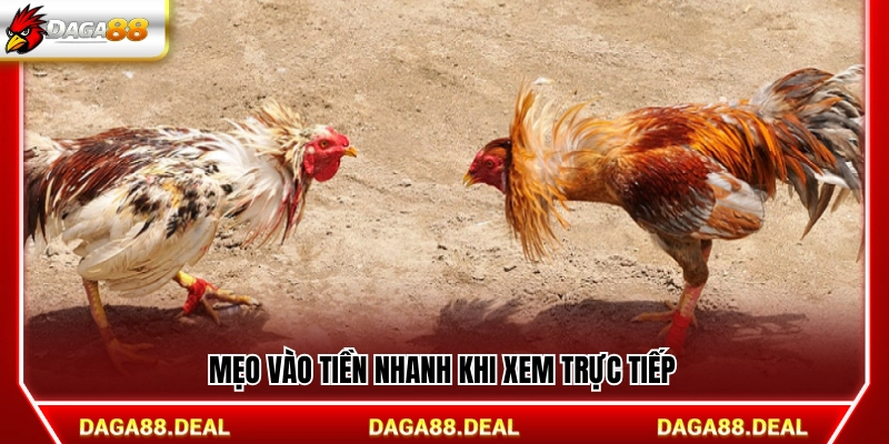 Kinh nghiệm đặt cược nhanh khi theo dõi trận đấu