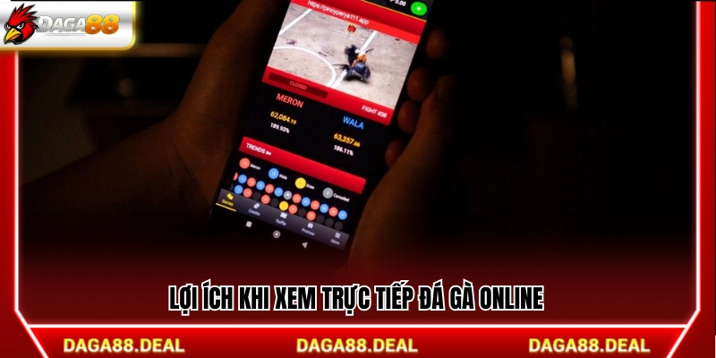 Ưu điểm của việc theo dõi trực tiếp đá gà online