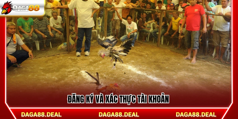 Hướng dẫn tạo và xác minh tài khoản